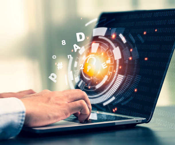 SHADOW NEWTEK INFORMATION TECHNOLOGY LLC About